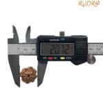 4 Mukhi Rudraksha 19.00 Mm
