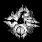4 Mukhi Rudraksha 18.55 Mm X-Ray