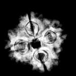 4 Mukhi Rudraksha 19.65 Mm X-Ray