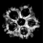 Collector 5 Mukhi Nepal Rudraksha - (22.69 MM) - (Rudrapuja)