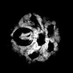 5 Mukhi Rudraksha Nepal - ( 14.93 MM )