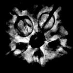 5 Mukhi Rudraksha Nepal (19.40 Mm) X-Ray