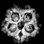 5 Mukhi Rudraksha Nepal (21.20 Mm)