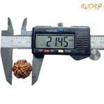 5 Mukhi Rudraksha Nepal - ( 21.45 MM )