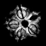 5 Mukhi Rudraksha 18.15 Mm X-Ray