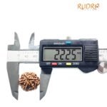 6 Mukhi Rudraksha Nepal (22.25 Mm)
