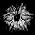 6 Mukhi Rudraksha Nepal (22.25 Mm) X-Ray