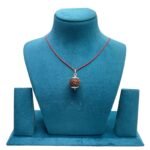 6 Mukhi Rudraksha Nepal With Silver Capping - (19.50 MM )