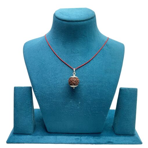 6 Mukhi Rudraksha Nepal With Silver Capping - (19.50 MM )