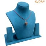 6 Mukhi Rudraksha Nepal With Silver Capping - (19.50 MM )