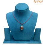 6 Mukhi Rudraksha Nepal With Silver Capping - (19.50 MM )