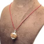 6 Mukhi Rudraksha Nepal With Silver Capping ( 20.50 Mm)