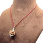6 Mukhi Rudraksha Nepal With Silver Capping (21.25Mm )