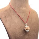 6 Mukhi Rudraksha Nepal With Silver Capping (21.25Mm )