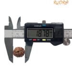 8 Mukhi Rudraksha 18.78 Mm