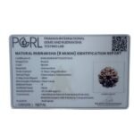 Ashtamukhi Rudraksha Nepal - (23.25 MM)