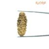 Collector 1 Mukhi Rudraksha (34.45 Mm) 10 Collector 1 Mukhi Rudraksha (34.45 Mm)