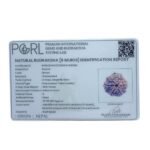 Collector 6 Mukhi Nepal Rudraksha - (23.35 MM)