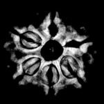 Collector 6 Mukhi Nepal Rudraksha - ( 24.15 MM)