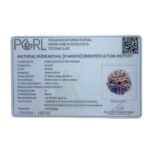 Collector 6 Mukhi Nepal Rudraksha - (24.50 MM)