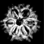 Collector 6 Mukhi Rudraksha Nepal ( 24.29Mm)