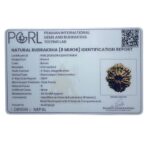 Collector Original 8 Mukhi Rudraksha Nepal - (25.00 MM)