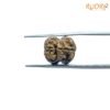 Dwi-Mukhi-Rudraksha-Nepal-17.86-Mm-Bp-C.jpg