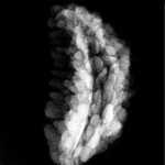 Eka Mukhi Rudraksha Small ( 25.79 Mm )