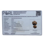 Gaurishankar Rudraksha Nepal - (33.28 MM)