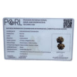 Gaurishankar Rudraksha With X - Ray Certified - (34.98 MM)