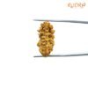One-Mukhi-Rudraksha-Small-25.85-Mm-Fp-C.jpg