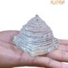 Sphatik Shree Yantra - 3 Inches - (314 Grams) 11 Sphatik Shree Yantra - 3 Inches - (314 Grams)