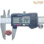 Two Face Rudraksha Nepal (16.14 mm ) SP C