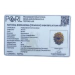 X - Ray Certified 12 Mukhi Rudraksha Nepal - ( 27.75 MM )