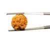 Four Face Rudraksha