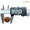 10 Mukhi Nepal Medium Rudraksha ( 25.24 Mm ) 14 10-Mukhi-Nepal-Medium-Rudraksha-25.24-Mm-Op-C.jpg