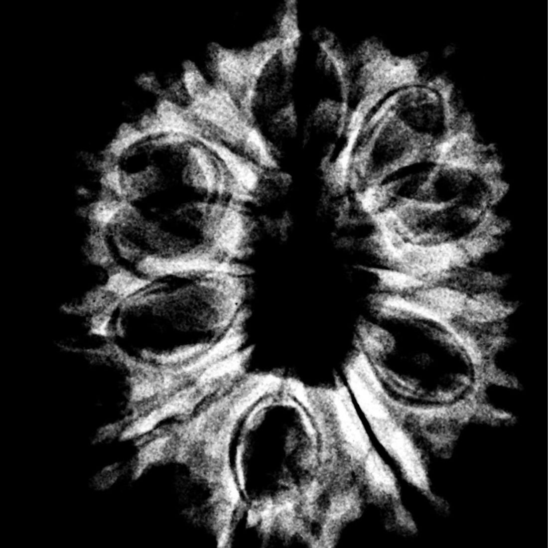 13 Mukhi Nepal Rudraksha - ( 27.25 Mm ) 5 13 Mukhi Nepal Rudraksha - ( 27.25 Mm )