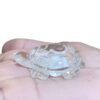 Sphatik Kashyap 32 gram