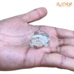 Sphatik Kashyap Crystal Tortoise - 26 Grams