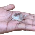 Sphatik Kashyap Crystal Tortoise - 26 Grams