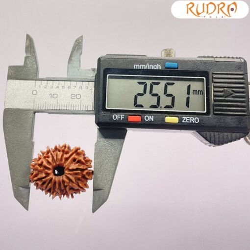 तेरह-मुखी-Nepal-Medium-Rudraksha-25.51-MM-OP-C.jpg December 25, 2024 176 KB 1100 by 1100 pixels