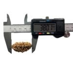 Collector 1 Mukhi Rudraksha ( 38.01 Mm )