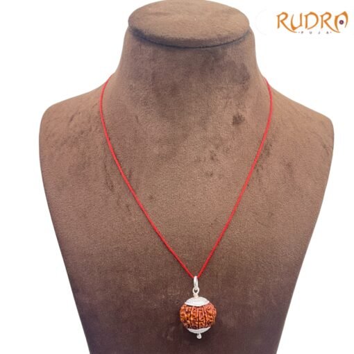 10-Mukhi-Rudraksha-With-Silver-Capping-23.54mm-FP-C.jpg