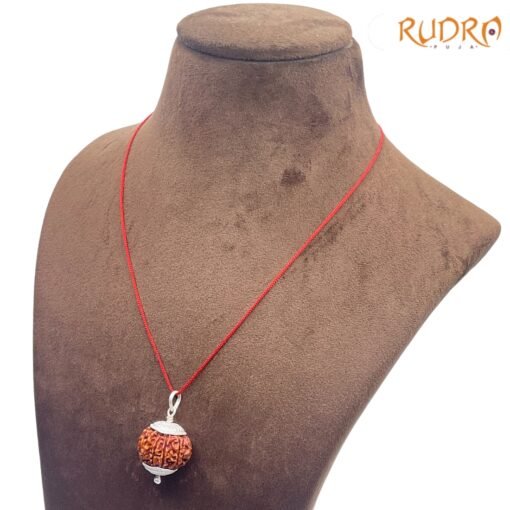 10-Mukhi-Rudraksha-With-Silver-Capping-23.54mm-LP-C.jpg