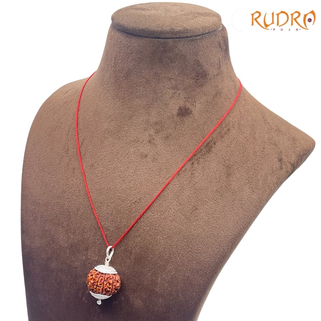 10 Mukhi Rudraksha With Silver Capping - (23.54Mm) 3 10-Mukhi-Rudraksha-With-Silver-Capping-23.54Mm-Lp-C.jpg