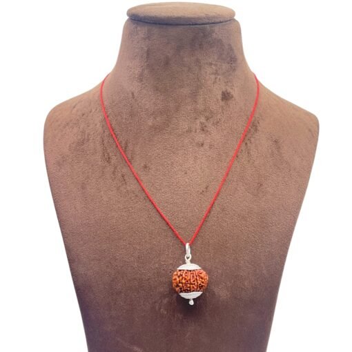 10 Mukhi Rudraksha With Silver Capping - (23.54Mm) 8 10-Mukhi-Rudraksha-With-Silver-Capping-23.54Mm-Mp-C.jpg