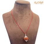 10 Mukhi Rudraksha With Silver Capping - (23.54Mm) 7 10-Mukhi-Rudraksha-With-Silver-Capping-23.54Mm-Rp-C.jpg