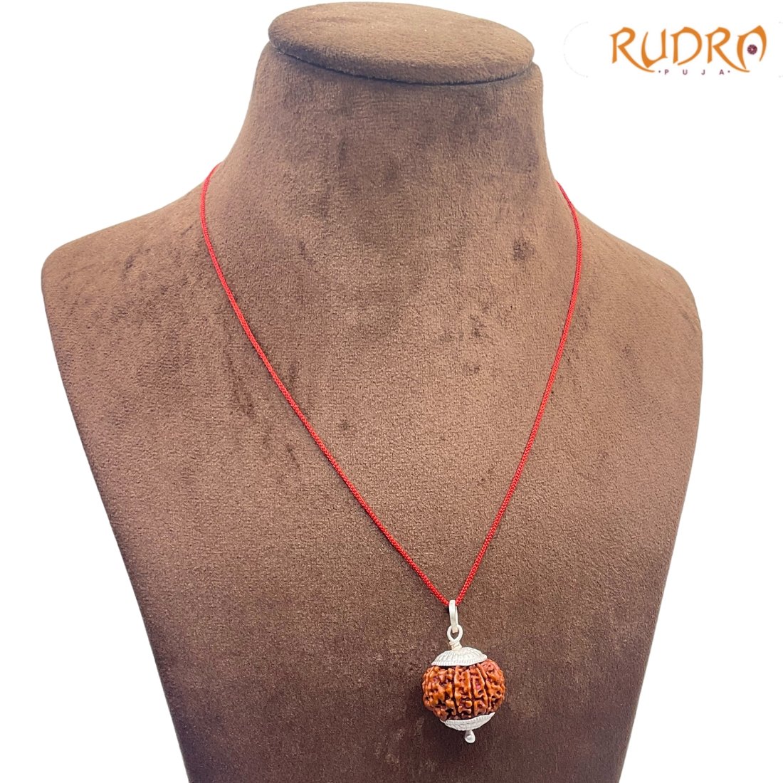 10 Mukhi Rudraksha With Silver Capping - (23.54Mm) 4 10-Mukhi-Rudraksha-With-Silver-Capping-23.54Mm-Rp-C.jpg