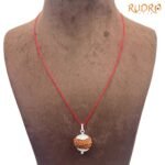 11Mukhi-Rudraksha-With-Silver-Capping-23.04-mm-MP-C-UP-C.jpg