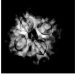 4-Mukhi-Nepal-Rudraksha-20.00-Mm-X-Ray-C.jpg January 21, 2025 103 Kb